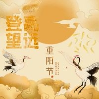 重阳节登高活动(正在火热进行中)